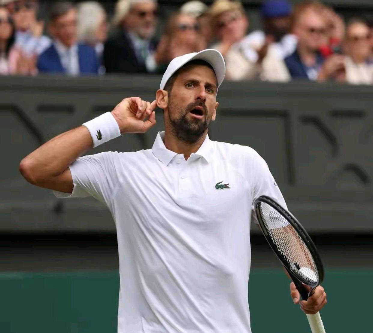 戴维斯杯轻取温网,德约科维奇关键制胜 戴维斯杯轻取温网,德约科维奇关键制胜