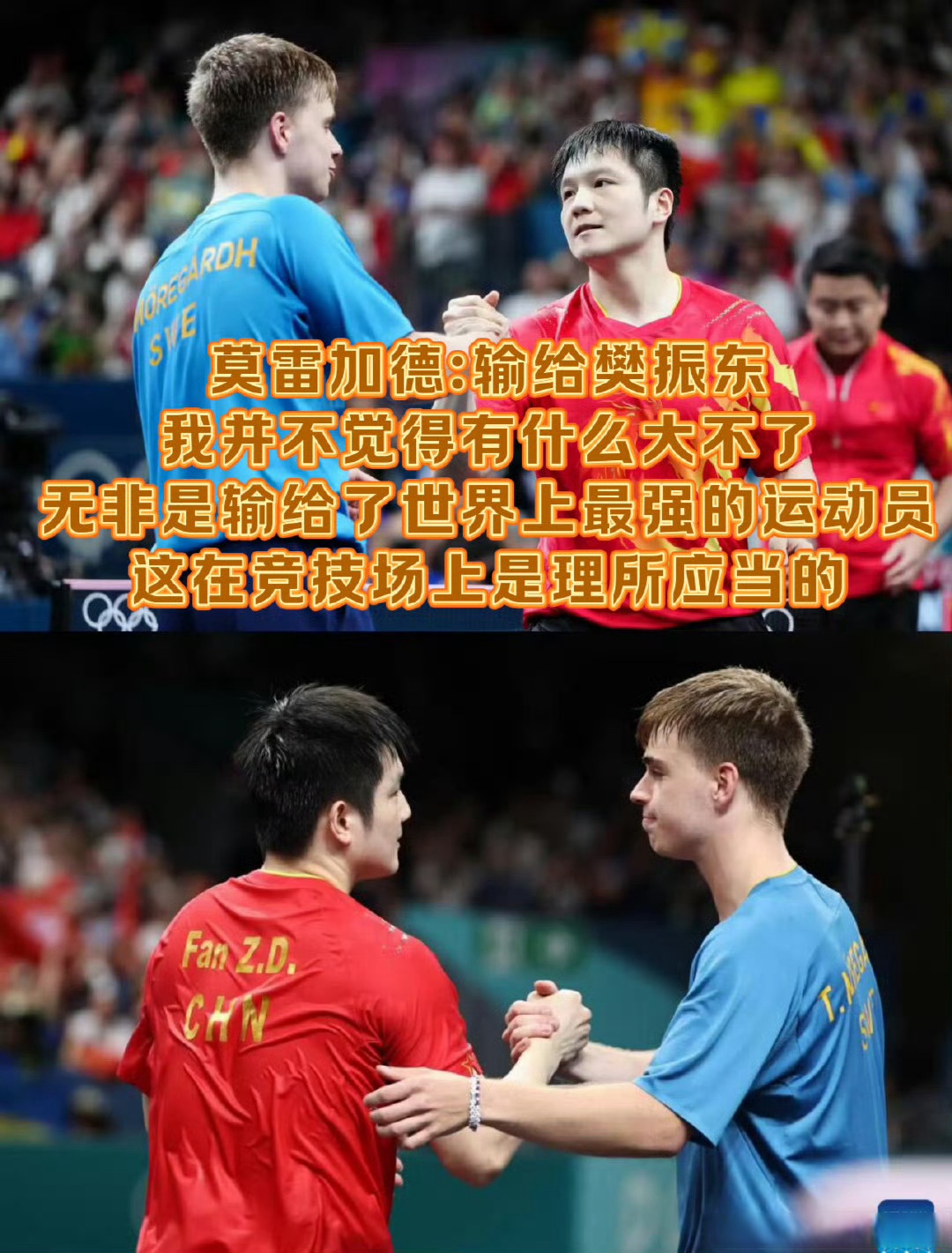 日本队横扫瑞典队,樊振东统治全场 日本队横扫瑞典队,樊振东统治全场