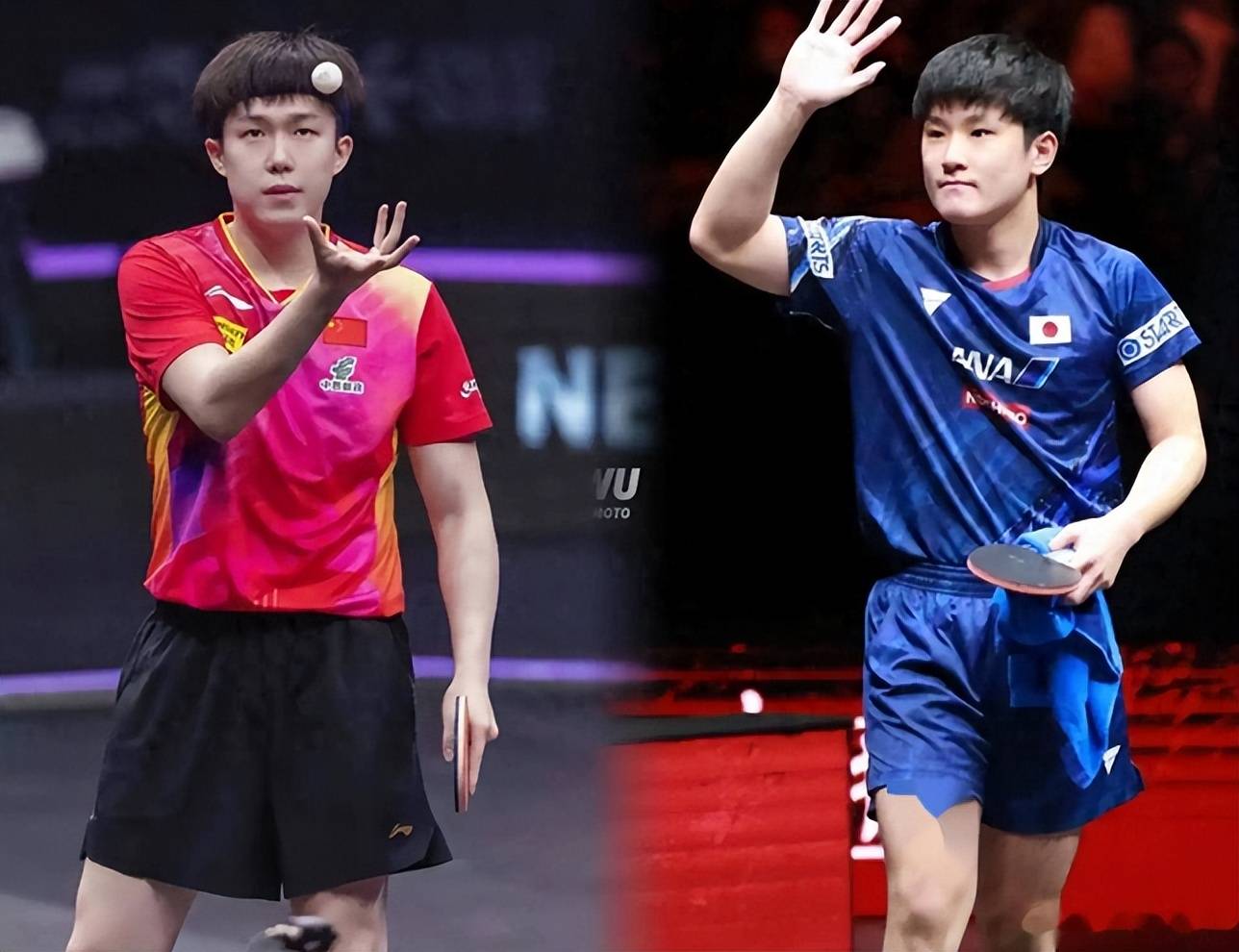 中国队完胜法国队，张本智和高光表现