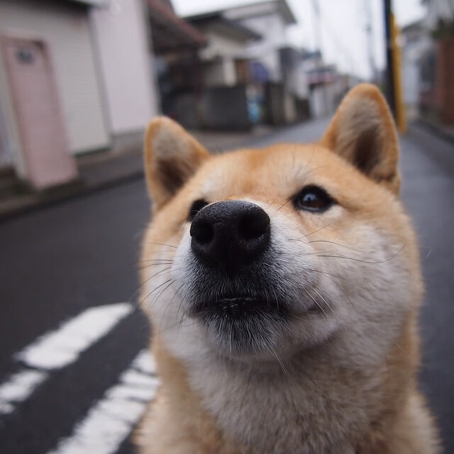 年度焦点之战之夜,门迪打出统治级数据,重新定义防守艺术