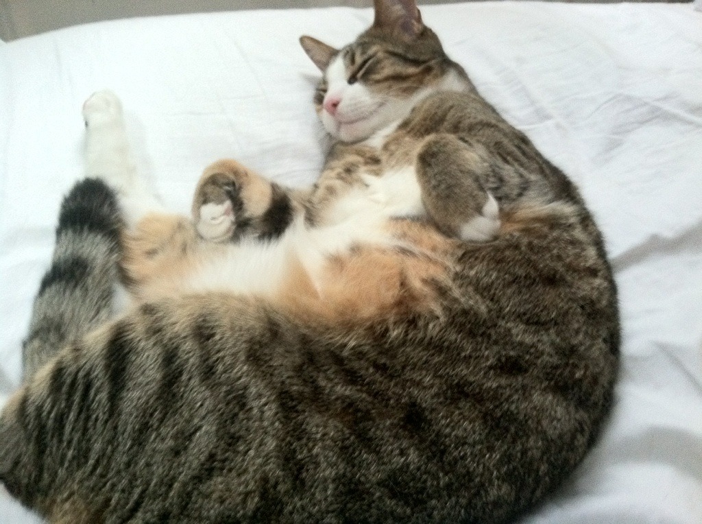 快船碾压魔术,杜兰特成为关键先生,一场战术与巨星的完美交响